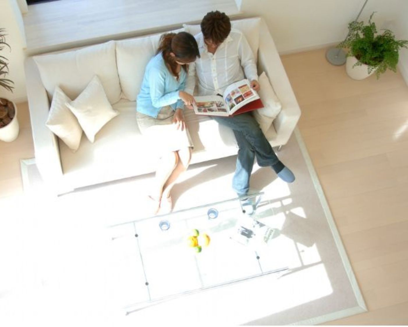 Debitura collect the live in relationship evidence